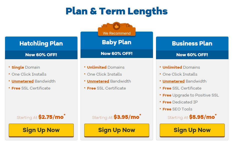 web hosting plans